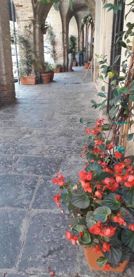 Bed and Breakfast Nenet Guglionesi Екстер'єр фото