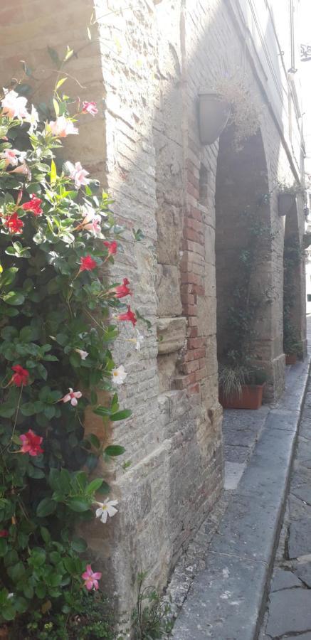 Bed and Breakfast Nenet Guglionesi Екстер'єр фото