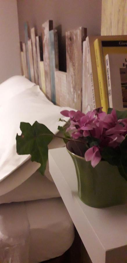 Bed and Breakfast Nenet Guglionesi Екстер'єр фото